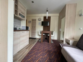 Apartment Koko